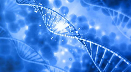 中国首例正序生物碱基编辑药物成功治愈外籍患者，开创基因治疗新纪元