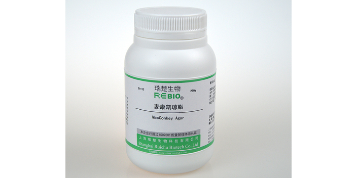 深耕生物科技前沿，上海瑞楚生物科技的创新与责任